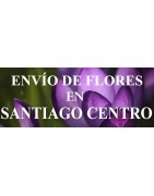 Envío de Flores en Santiago Centro