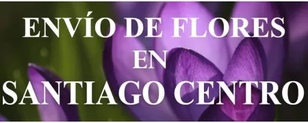 Envío de Flores a domicilio en Santiago Centro, Envío de Flores en Santiago Centro, Enviar Flores a Santiago Centro