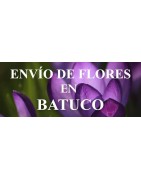 Envío de Flores en Batuco