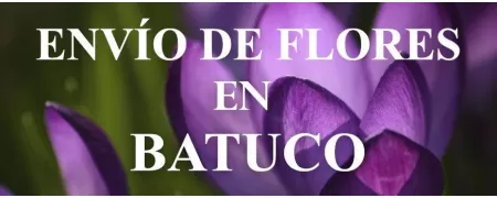 Envío de Flores a domicilio en Batuco, Envío de Flores en Batuco, Enviar Flores a Batuco