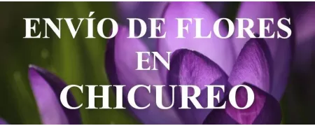 Envío de Flores a domicilio en Chicureo, Envío de Flores en Chicureo, Enviar Flores a Chicureo