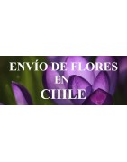 Envío de Flores en Chile