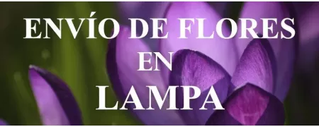 Envío de Flores a domicilio en Lampa, Envío de Flores en Lampa, Enviar Flores a Lampa