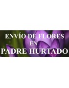 Envío de Flores a domicilio en Padre Hurtado, Envío de Flores en Padre Hurtado, Enviar Flores a Padre Hurtado