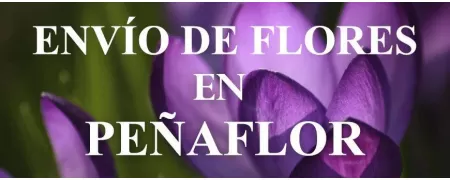 Envío de Flores a domicilio en Peñaflor, Envío de Flores en Peñaflor, Enviar Flores a Peñaflor