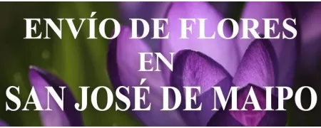 Envío de Flores a domicilio en San José de Maipo, Envío de Flores en San José de Maipo, Enviar Flores a San José de Maipo