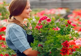 Las 10 Flores Más Populares: Reseñas Reales de Cada Flor